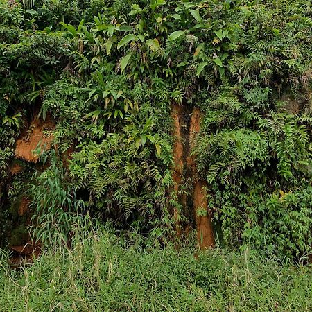 روسو Le Petit Paradis المظهر الخارجي الصورة