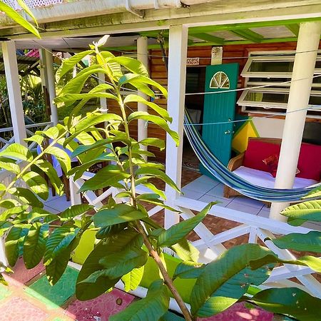 روسو Le Petit Paradis المظهر الخارجي الصورة