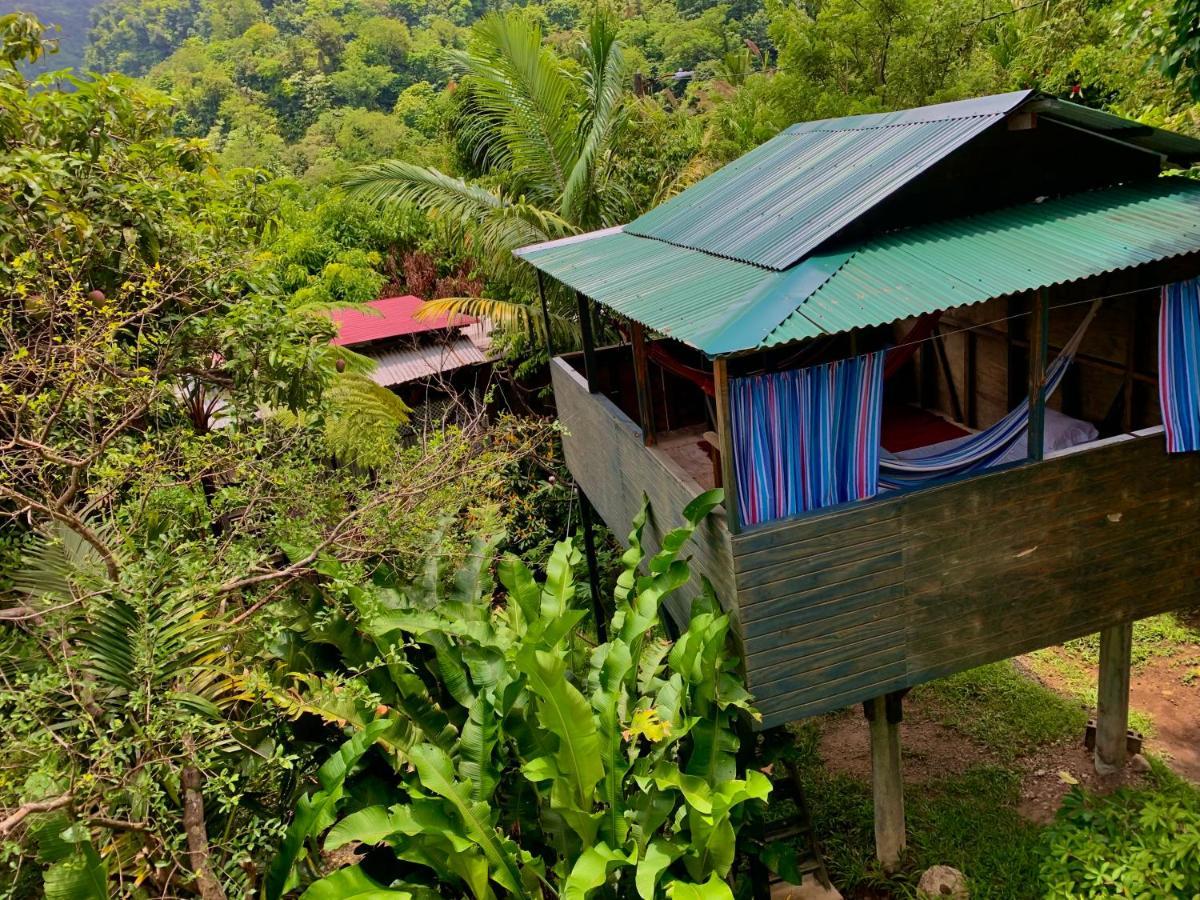 روسو Le Petit Paradis المظهر الخارجي الصورة