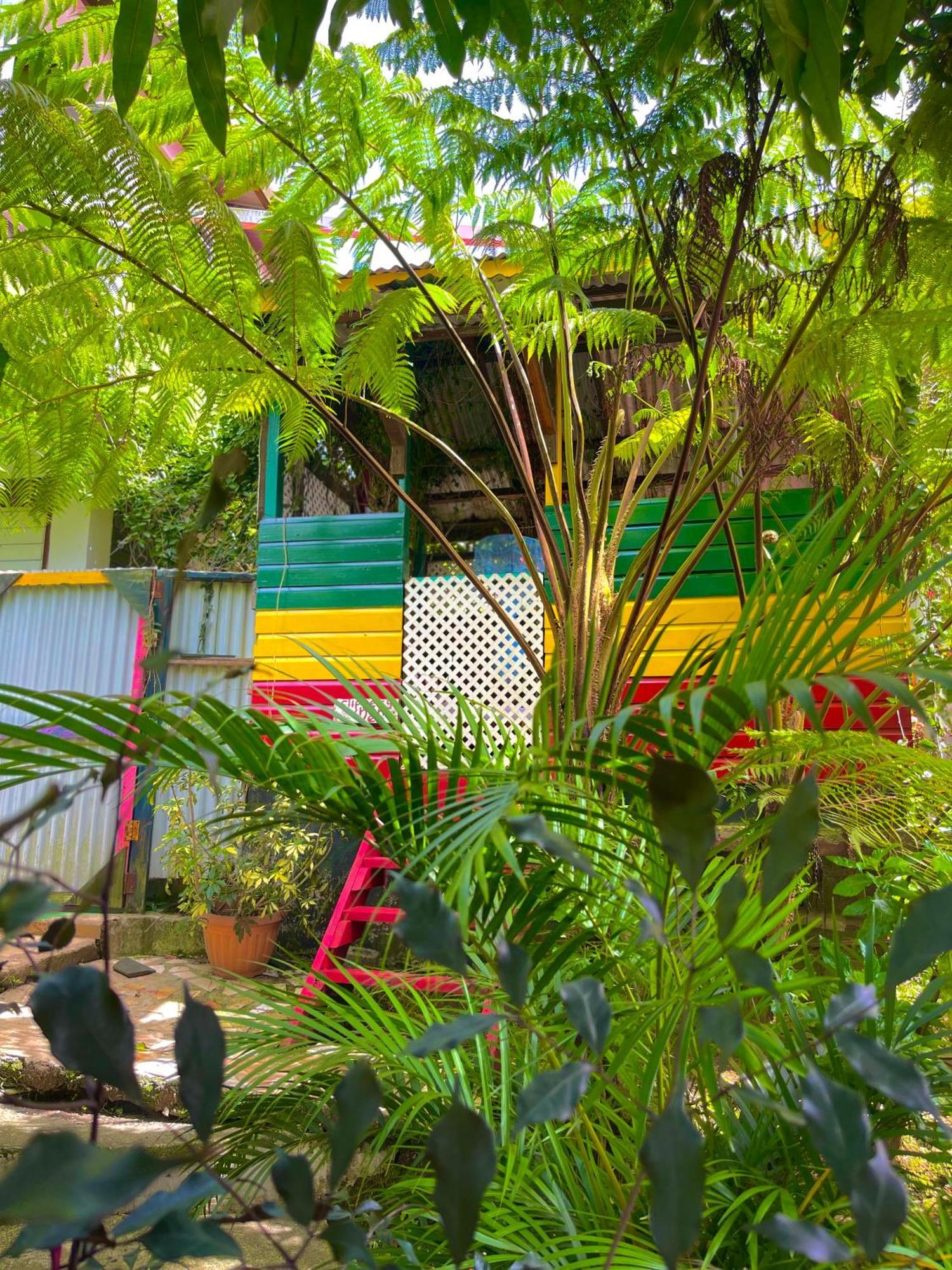 روسو Le Petit Paradis المظهر الخارجي الصورة