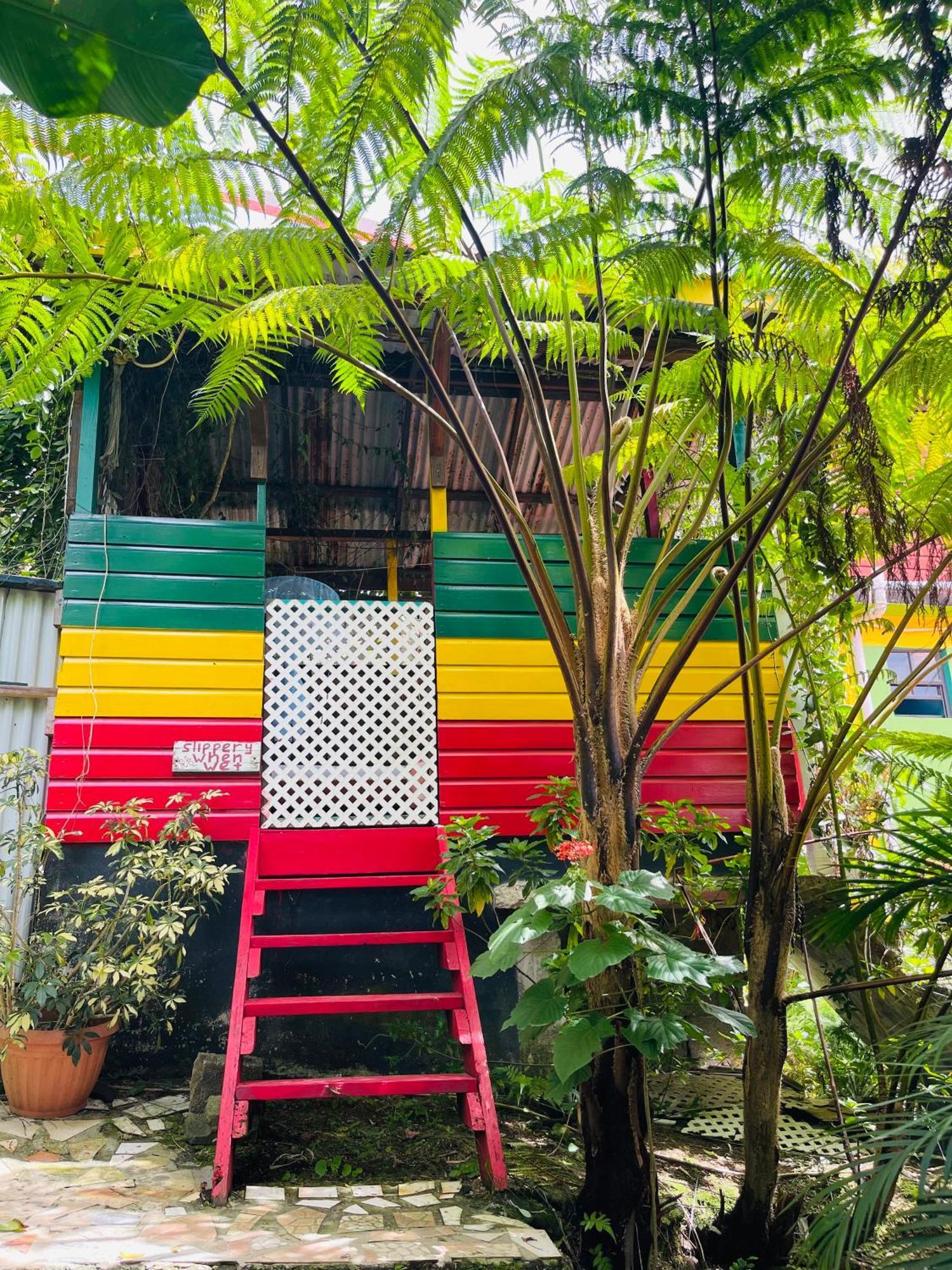 روسو Le Petit Paradis المظهر الخارجي الصورة