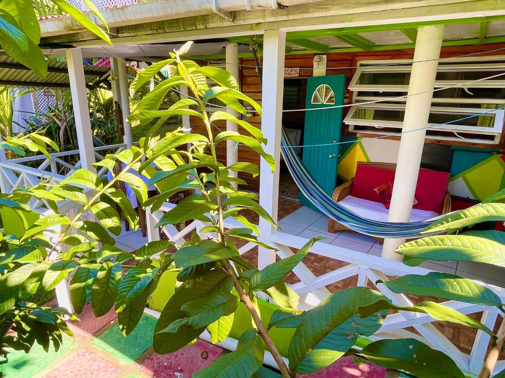 روسو Le Petit Paradis المظهر الخارجي الصورة