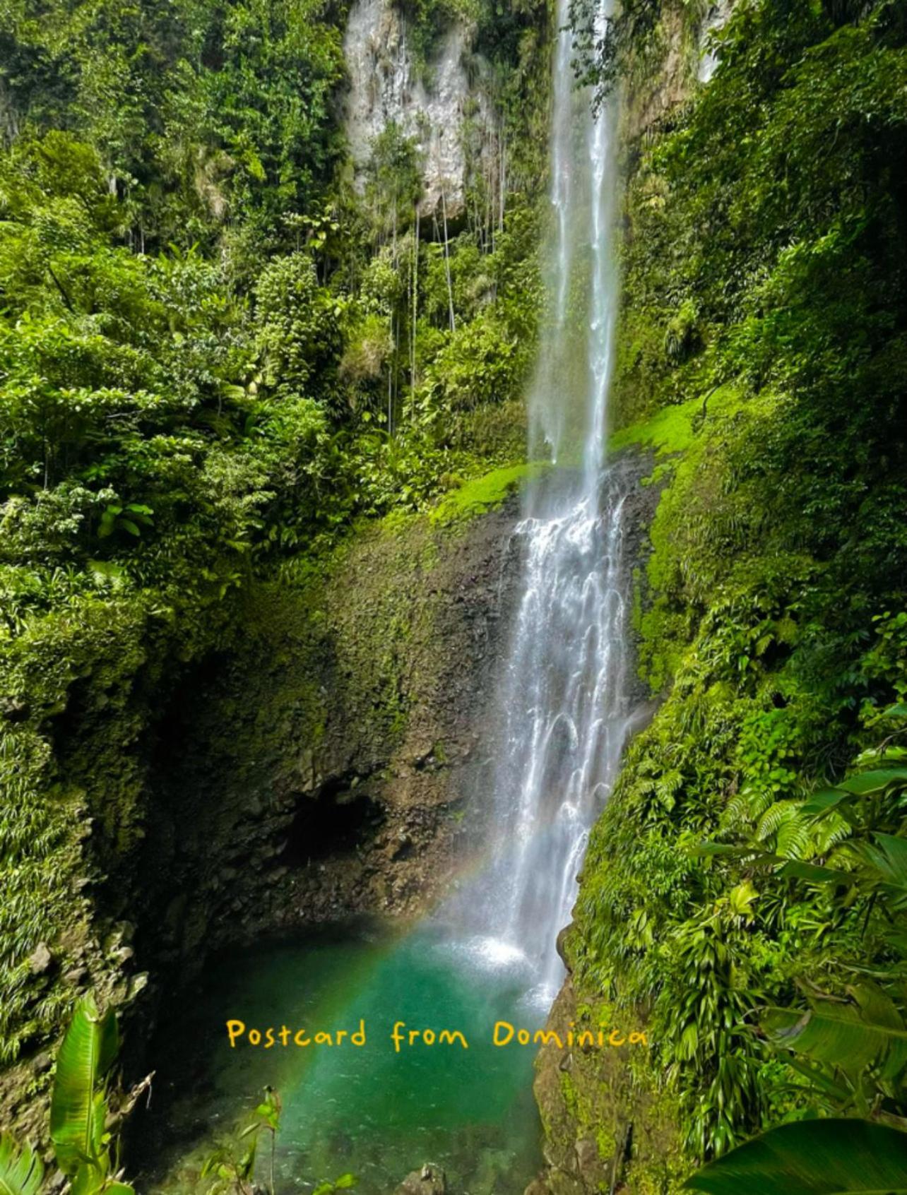 روسو Le Petit Paradis المظهر الخارجي الصورة